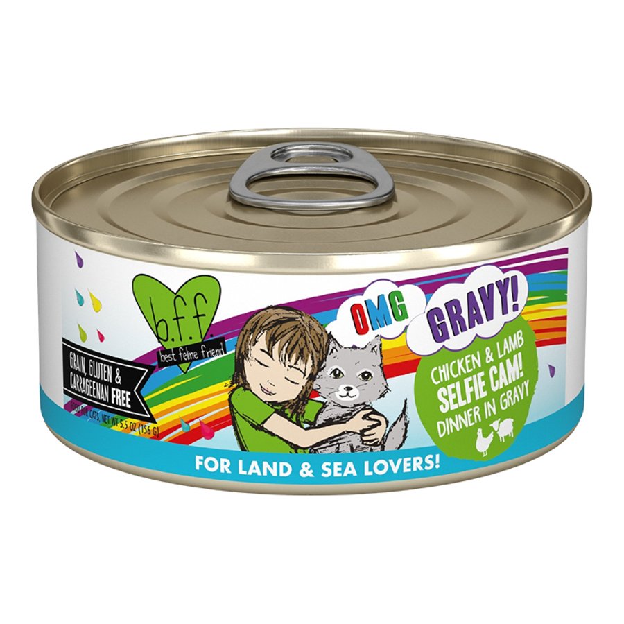 Weruva B.F.F. OMG Chicken & Lamb Selfie Cam! Dinner in Gravy Wet Cat Food 5.5-oz, Kwik Pets