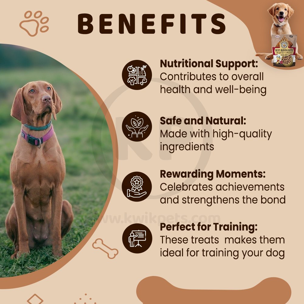 Benefits of Exclusively Pet Best Buddy Bits Tranning Dog Treats Beef & Liver 5.5-oz