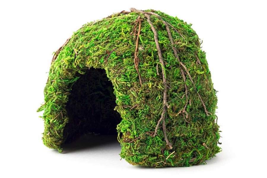 Galapagos Mossy Dome Reptile & Amphibian Terrarium Hideaway Fresh Green 6 in, Kwik Pets