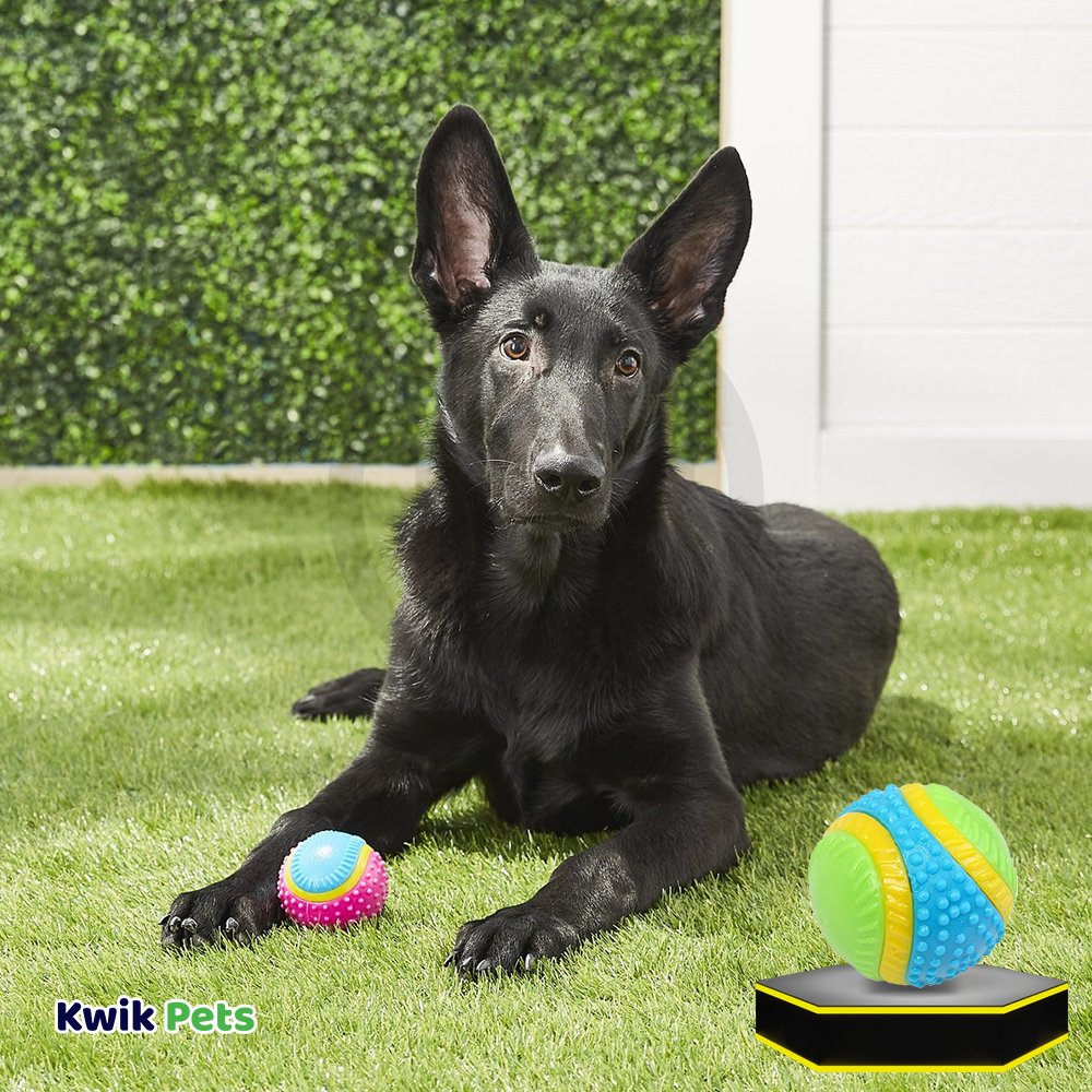 Ethical Pet Spot Sensory Ball Dog Toy Assorted Small 2.5-in, Kwik Pets