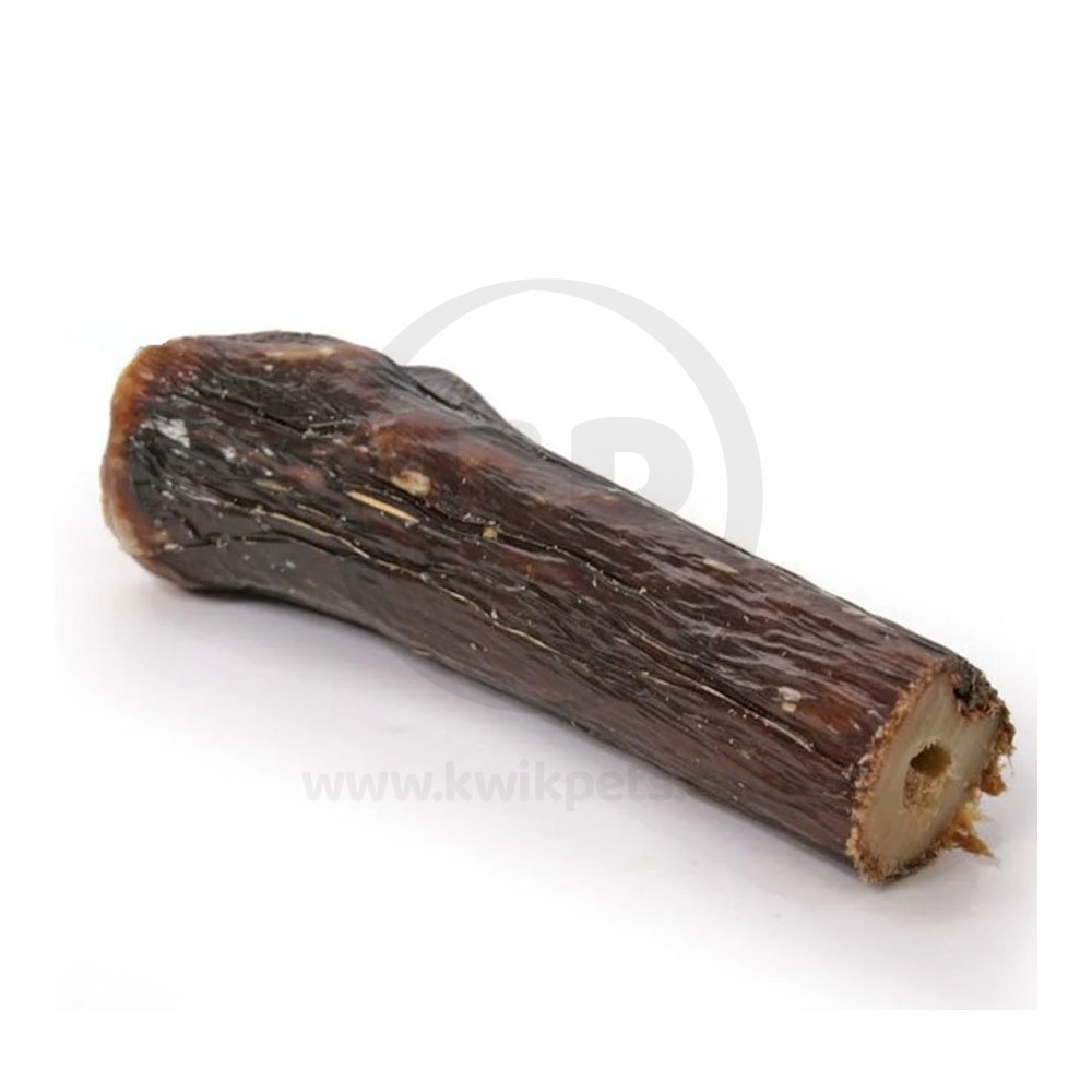 Product of Ziwi Good Deer Shank Bone Dog Chew Treat Full