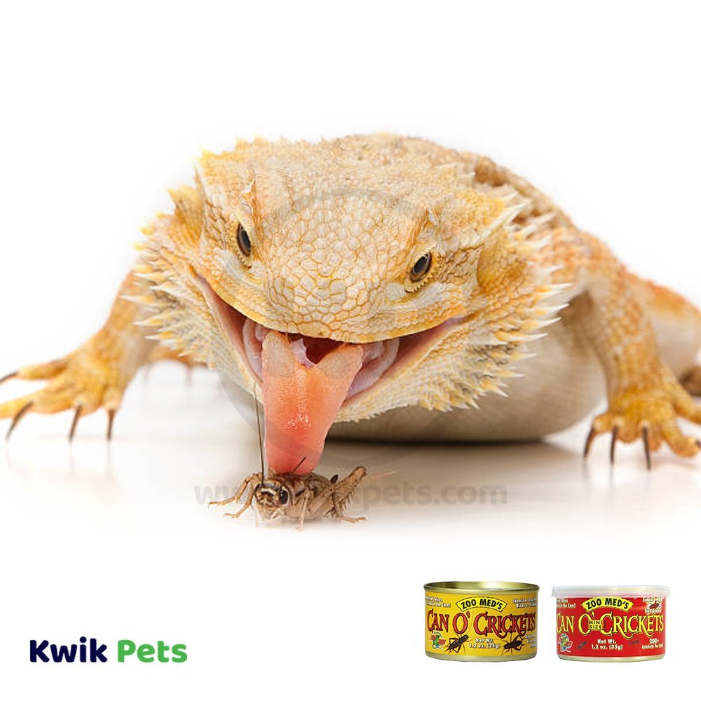 Zoo Med Can O' Adult Crickets Reptile Wet Food 1.2-oz, Kwik Pets