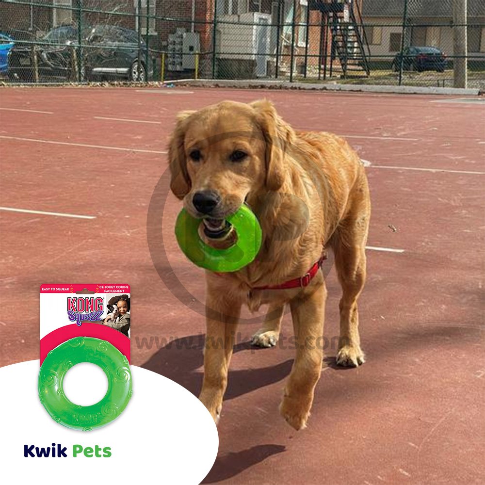 KONG Squeezz Ring Dog Toy Assorted Large, Kwik Pets