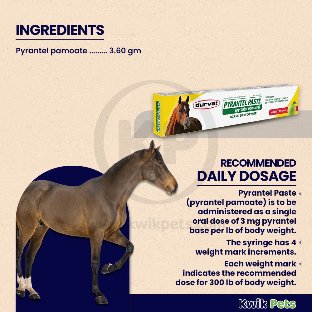 Durvet Pyrantel Paste Apple Flavored Horse Dewormer 23.6g, Kwik Pets