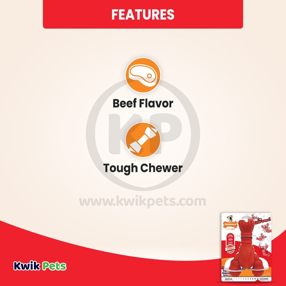 Features of Nylabone Power Chew Lobster Dog Toy Filet Mignon,  XL/Souper - 50+ lb