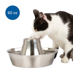 PetSafe Seaside Stainless Steel Cat Water Fountain 60-oz