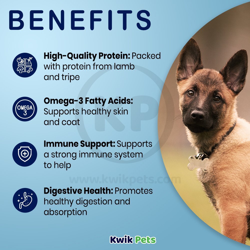 Benefits of Ziwi Good Deer Shank Bone Dog Chew Treat Full