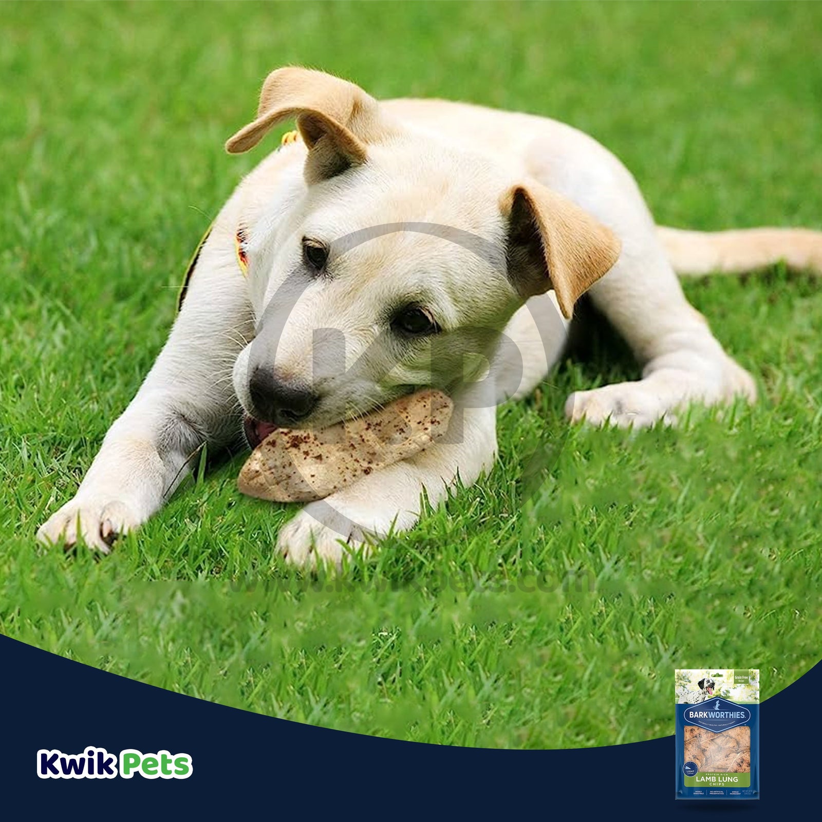 Barkworthies Lamb Lung Chips Dog Chews
