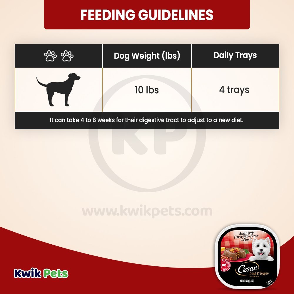 Cesar Loaf & Topper in Sauce Adult Wet Dog Food Angus Beef w/Bacon & Cheese 3.5-oz, Kwik Pets