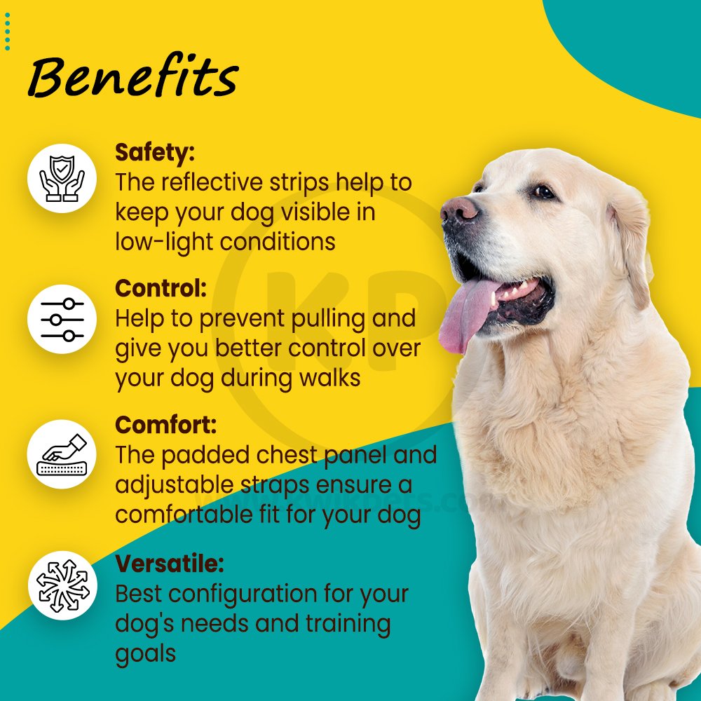 Benefits of PetSafe 3 in 1 Dog Harness Black Large
