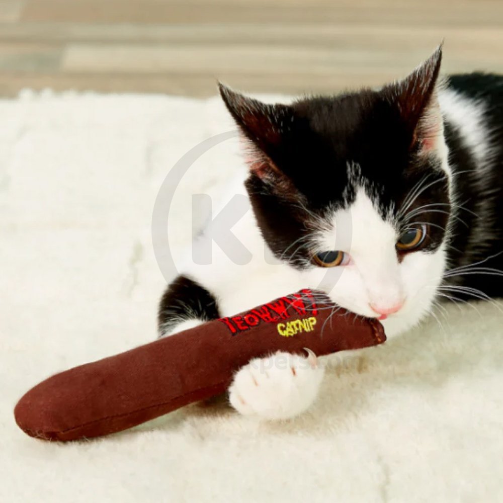 LifeStyle of Yeowww! Cigars Catnip Cat Toy Brown 7-in