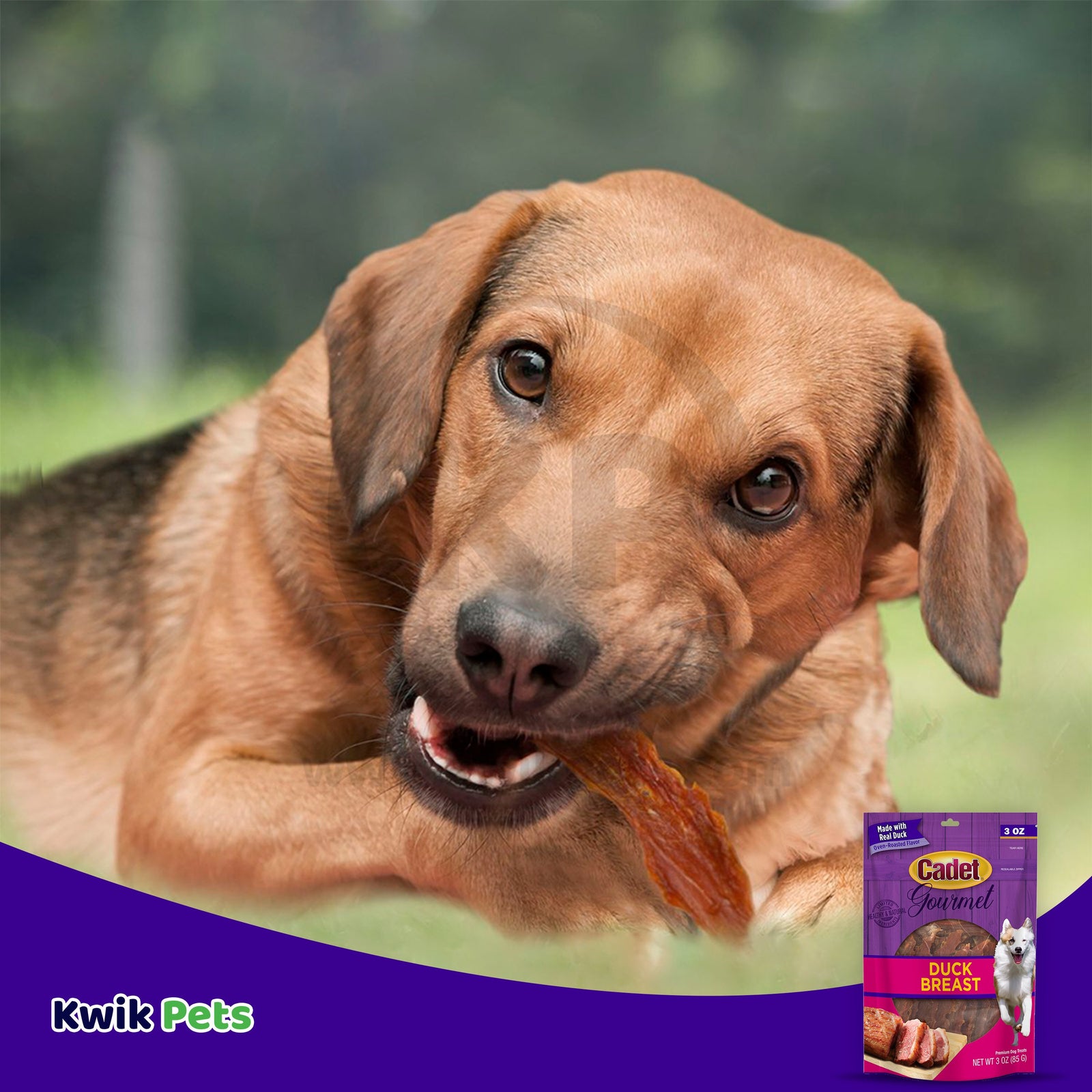 Cadet Gourmet Duck Breast Treats for Dogs