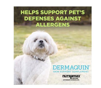 Nutramax Dermaquin Skin Support Soft Chew Supplement for Dogs & Cats Small & Medium 60 Count
