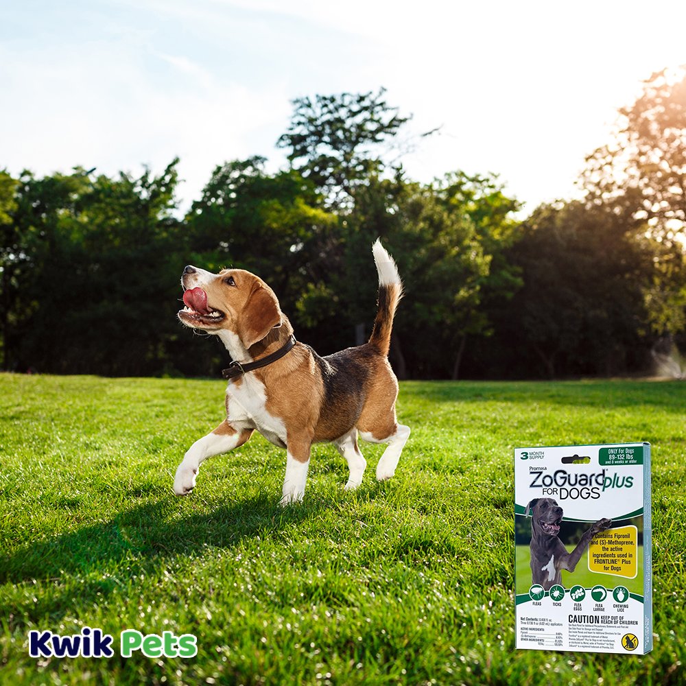 Promika ZoGuard Plus 3-Month Supply Flea & Tick Prevention for Dogs 89-132 lbs 3 Count, Kwik Pets