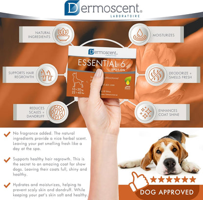Dermoscent Essential 6 Spot-on Skin Care for Dogs 22 to 45 lbs