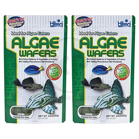 Hikari Tropical Algae Wafers for Bottom Feeding Herbivorous Fish Food, 8.80 Ounces - 2 pack, Hikari