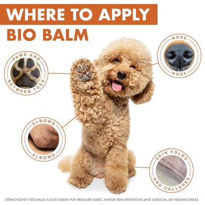 Dermoscent Bio Balm Skin & Paw Soother For Dogs 1.67-oz
