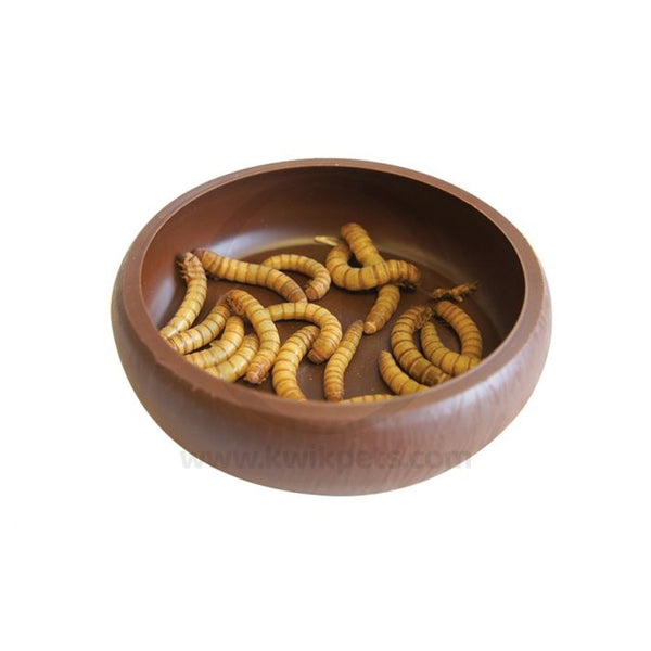 Lee's Aquarium & Pet Products Mealworm Curved Dish Brown 3-in, Kwik Pets