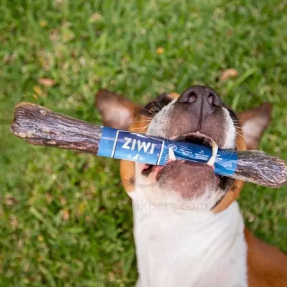 LifeStyle of Ziwi Good Deer Shank Bone Dog Chew Treat Full