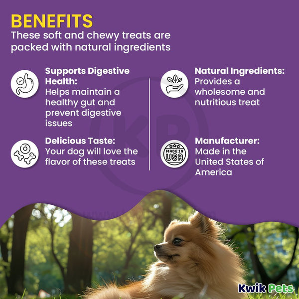 Cloud Star Dynamo Dog Tummy Functional Treats Pumpkin & Ginger 14-oz, Kwik Pets