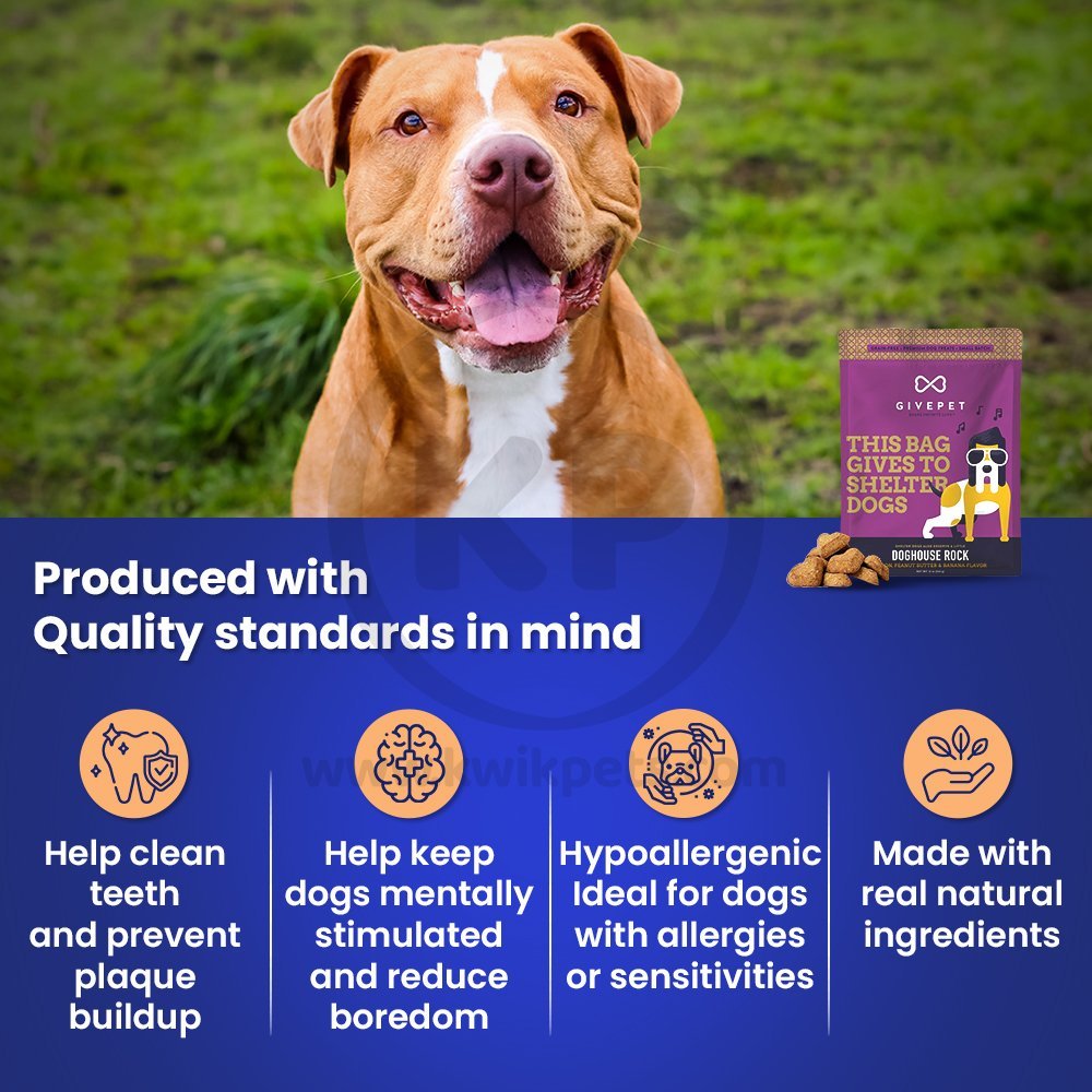Givepet Dog House Rock Grain-Free Premium Dog Treats Bacon Peanut Butter & Banana 11-oz, Kwik Pets