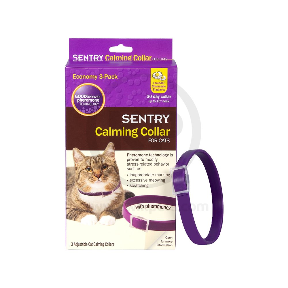 Sentry Calming Collar for Cats Up To 15-in Neck 3 Count Image