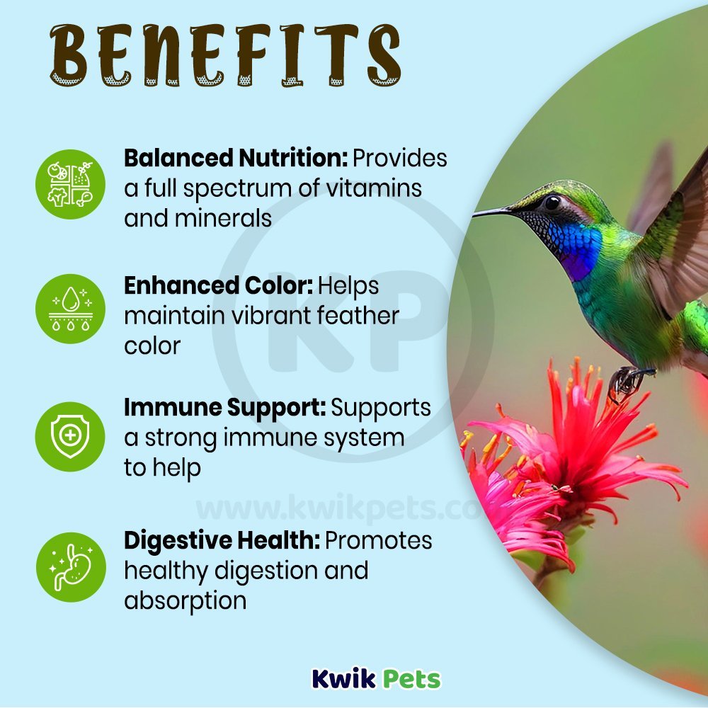 Benefits of Oasis Vita Drops Multivitamin Supplement for Hummingbirds 2-oz