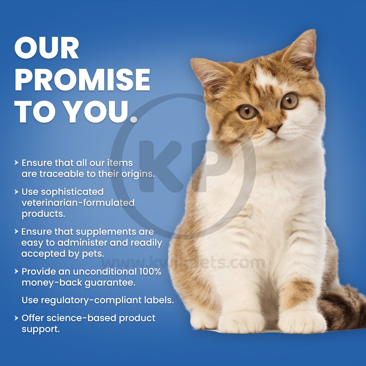 Nutri-Vet Kitten Milk Replacement Powder 6oz, Nutri-Vet