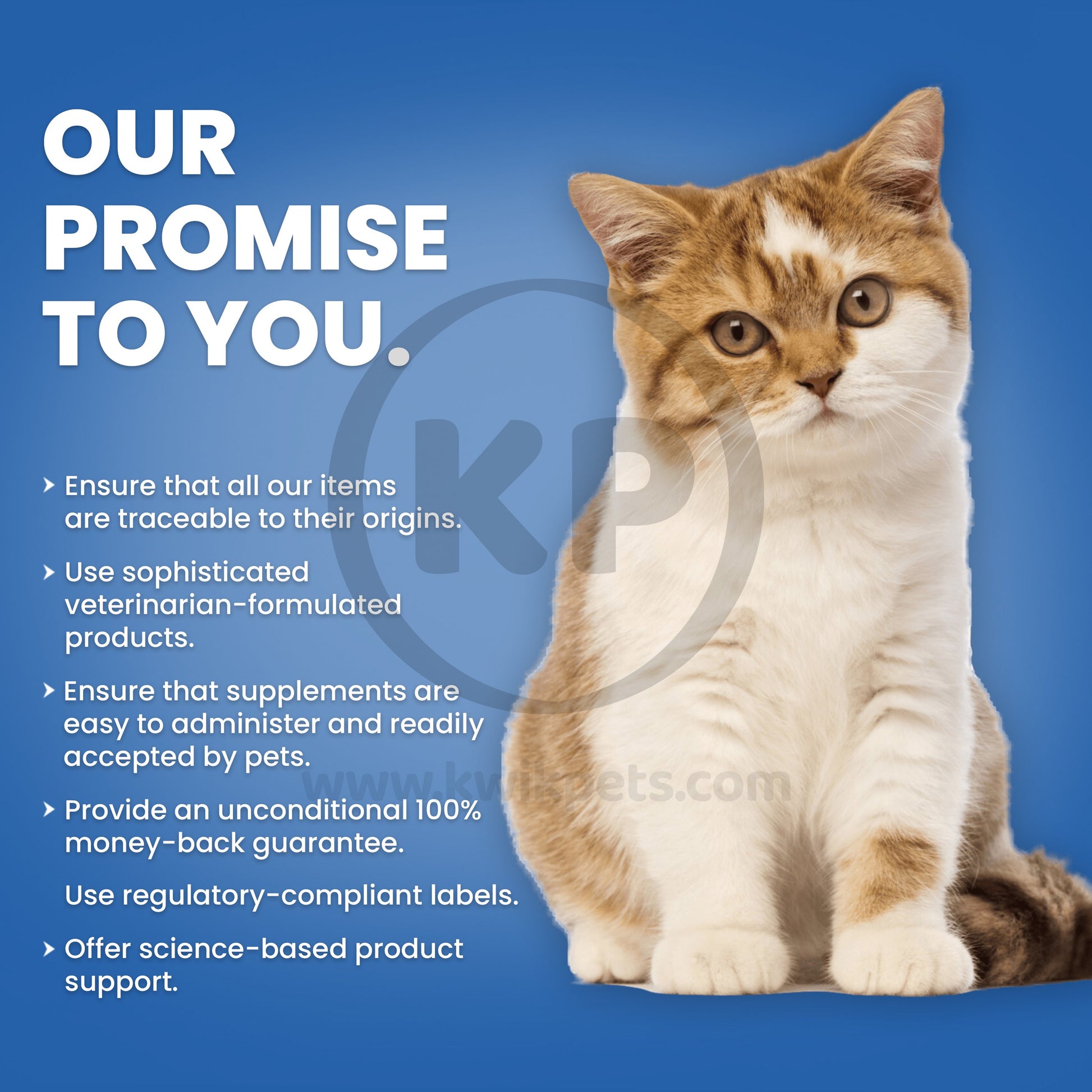 Nutri-Vet Kitten Milk Replacement Powder 6oz, Nutri-Vet