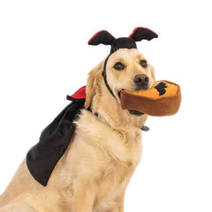 ZippyPaws Halloween Dracula Costume Kit for Dogs