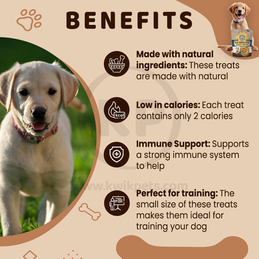 Benefits of Exclusively Pet Best Buddy Bits Tranning Dog Treats Cheese 5.5-oz