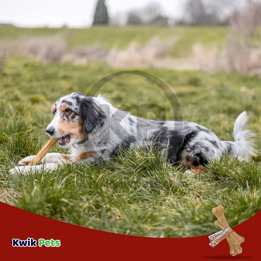 Loving Pets Pressed Rawhide Bone Dog Treat 8-in, Kwik Pets
