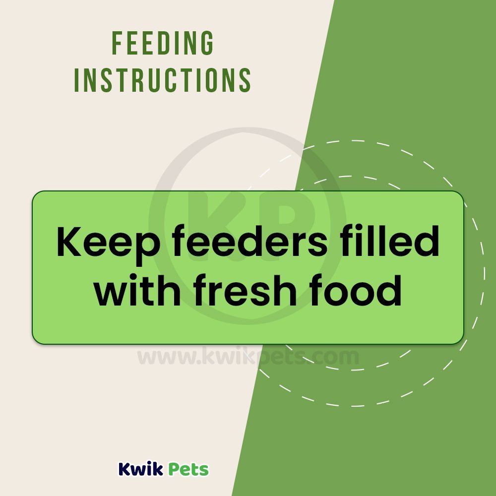 Kaytee Mealworm Food Pouch 7 oz, Kaytee