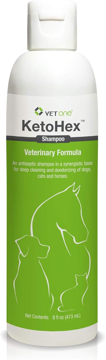 VetOne KetoHex Shampoo for Dogs, Cats & Horses 8-oz