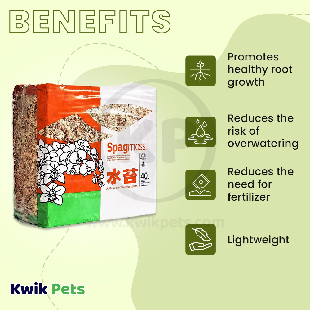 New Zealand Spagmoss 500 gm, New Zealand