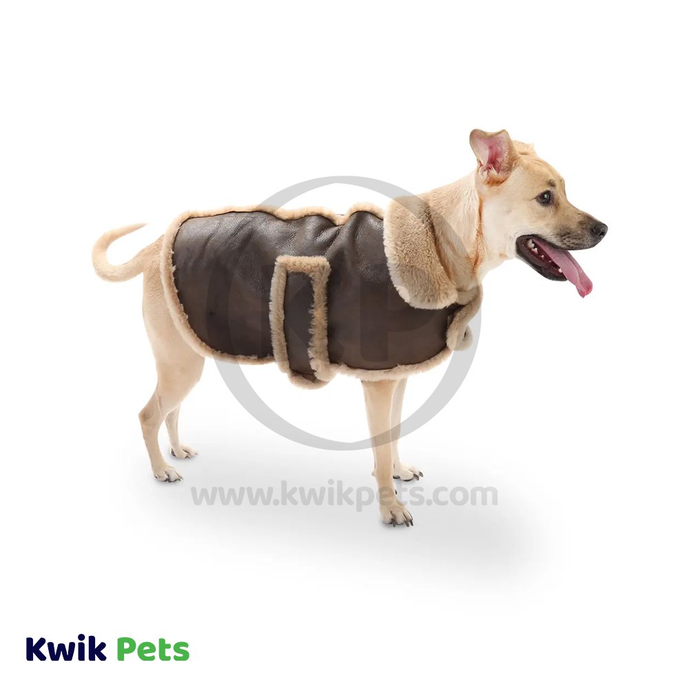 Fashion Pet Bomber Jacket Brown Medium, Kwik Pets