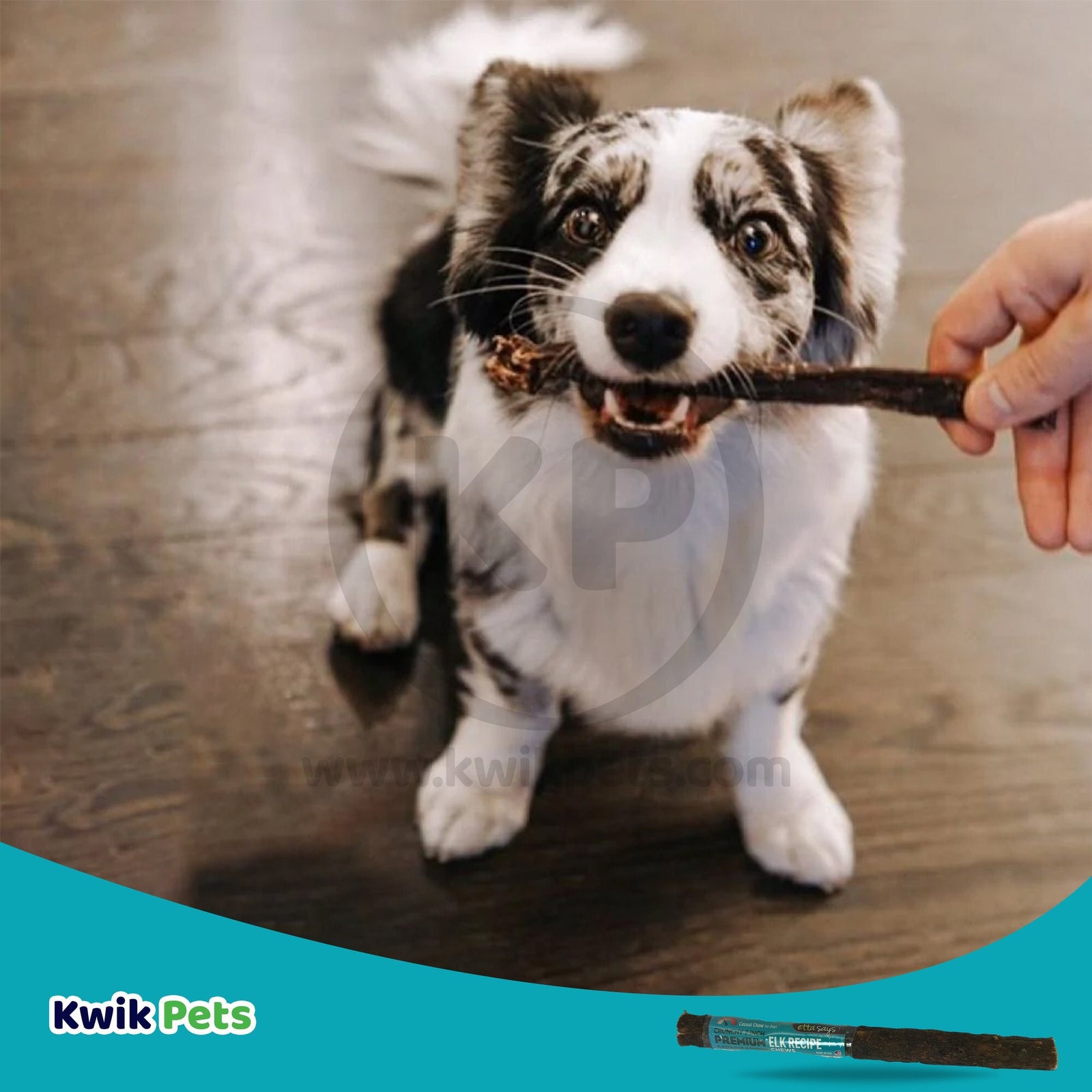 Etta Says! Premium Crunchy Elk Chews Dog Treat