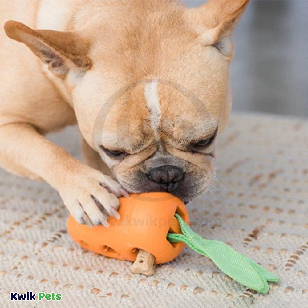Petstages Carrot Stuffer Treat-Dispensing Interactive Dog Toy, Kwik Pets