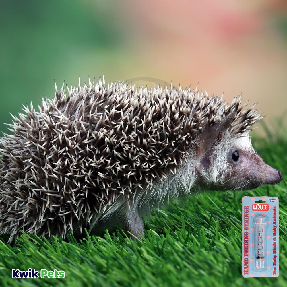 Lixit Hand Feeding Syringe for Baby Animals 10 ml, Kwik Pets