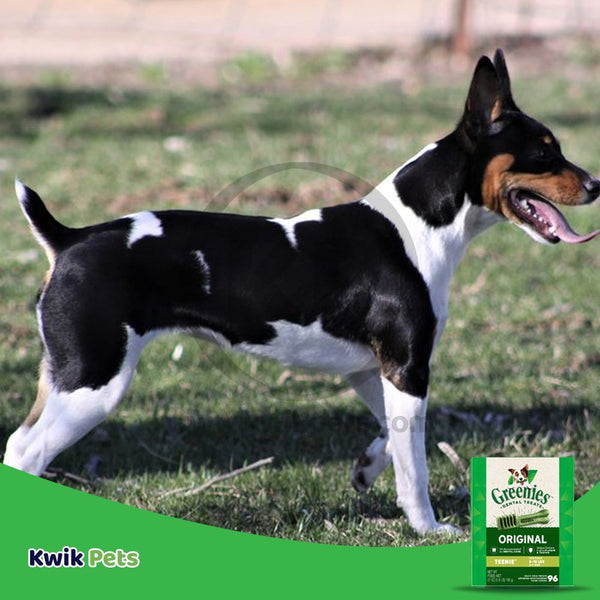 Greenies Original Dog Dental Treats Teenie