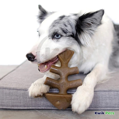 Benebone Jack Salmon Fishbone Dog Chew Toy Medium, Kwik Pets