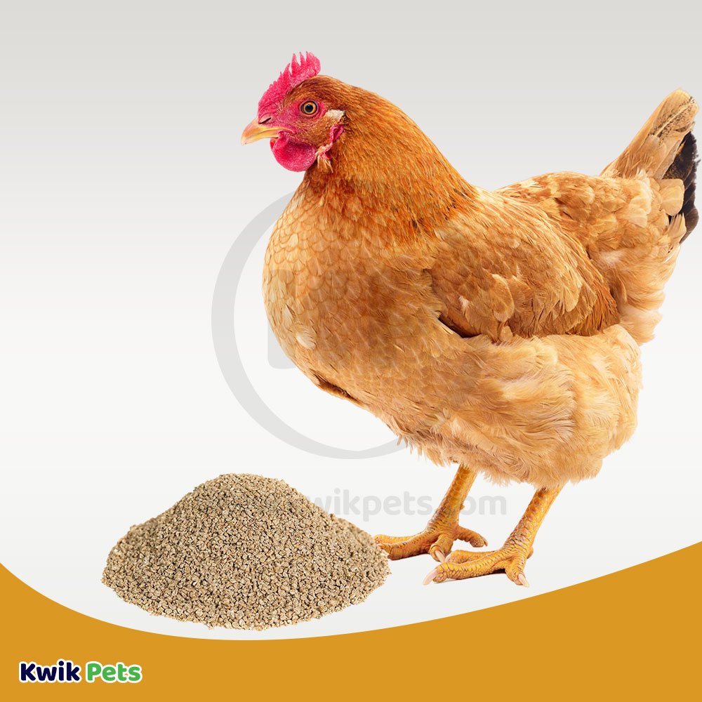 Volkman Seed Company Layer Pellet Blend Chicken Treat, 8-lb, Volkman