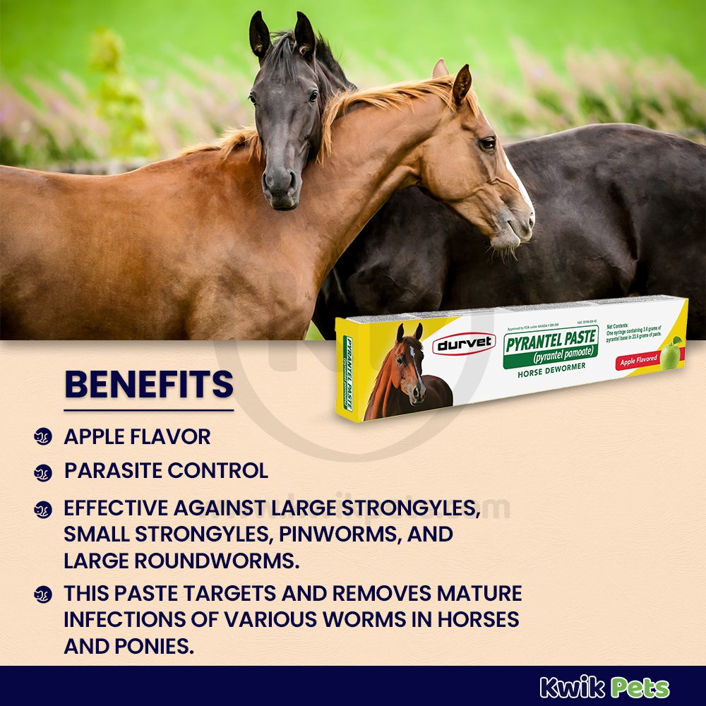 Durvet Pyrantel Paste Apple Flavored Horse Dewormer 23.6g, Kwik Pets