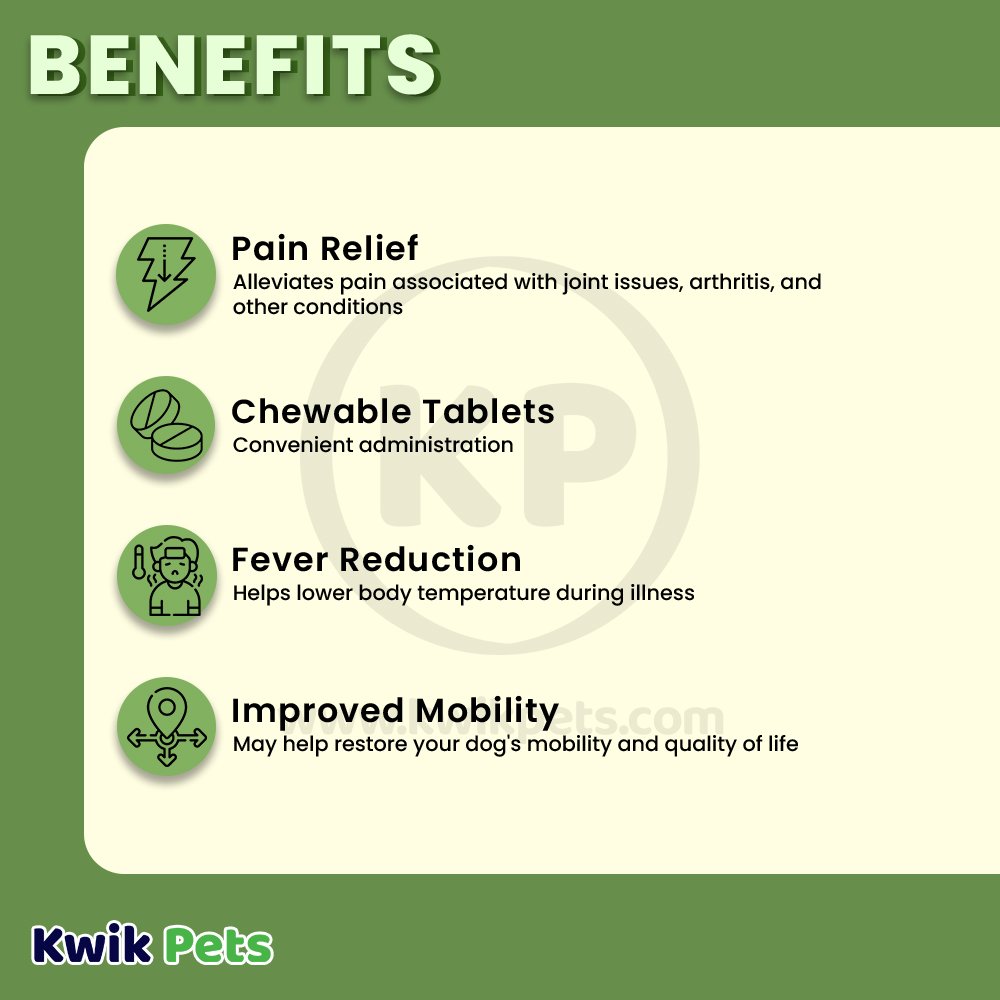 Benefits of Vetality Canine Aspirin Chewable Tablets 300mg for Large to XL Dogs 120 Count