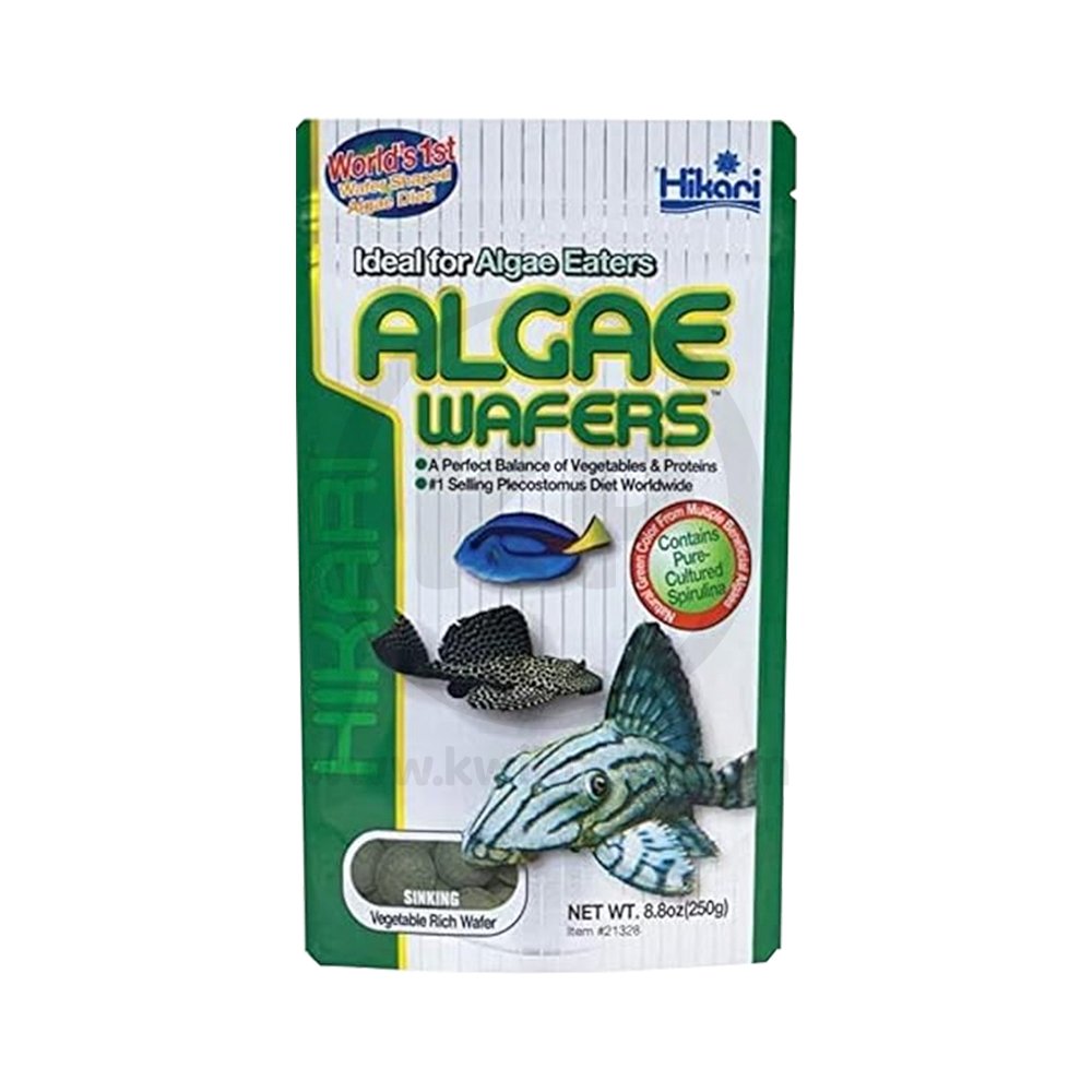 Front of Hikari USA Rapidly Sinking Algae Wafers Fish Food 8.8-oz