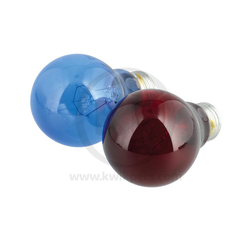 Zoo Med Day & Night Reptile Bulbs Combo Pack Online