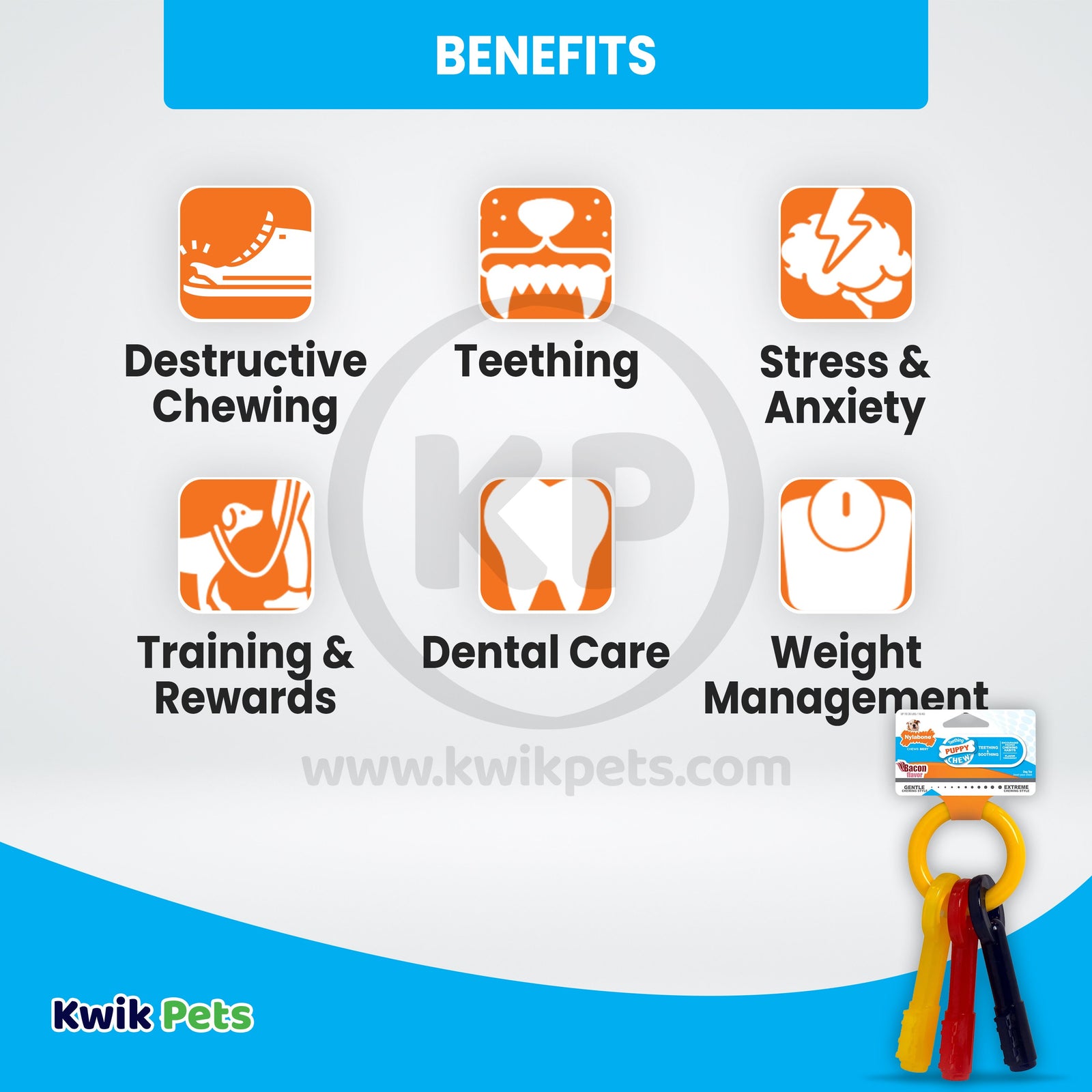 Benefits of Nylabone Just for Puppies Teething Chew Toy Keys Bacon Medium/Wolf - Up To 35 lbs