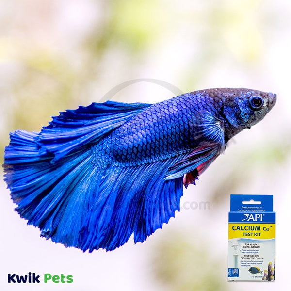 Image-of-API-Saltwater-Calcium-Test-Kit