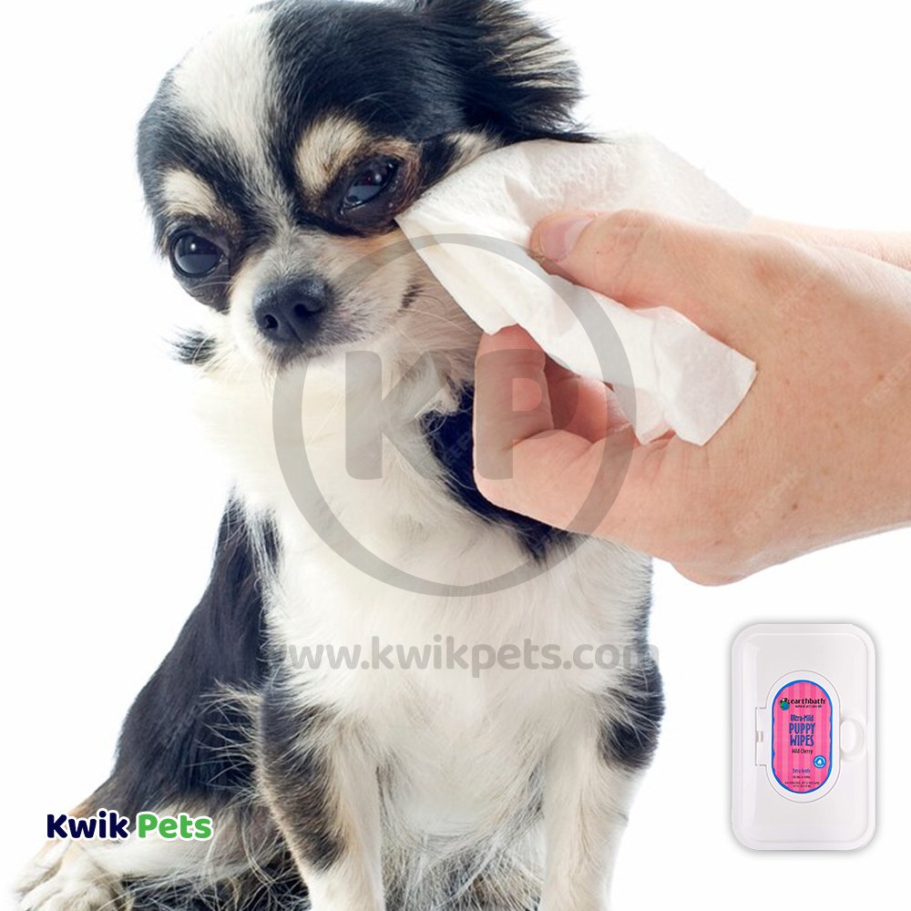 Dog Image of Earthbath Ultra-Mild Puppy Wipes Wild Cherry 100 Count