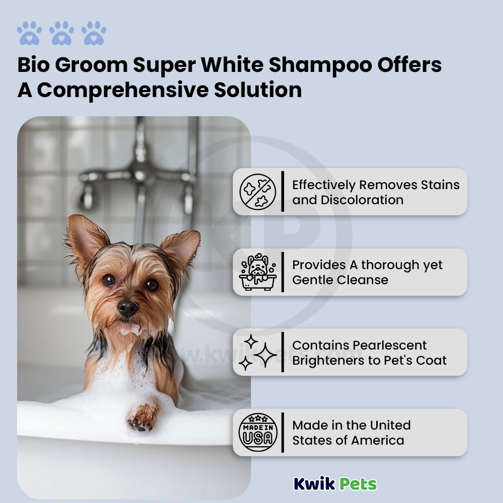 Bio-Groom Super White Shampoo 1 gal, Kwik Pets